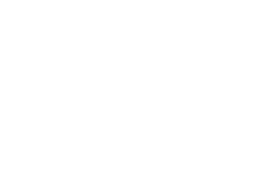 BUH Logo 1c weiss RGB Footer